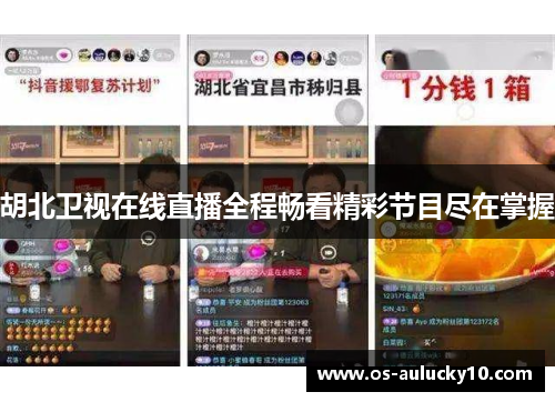 胡北卫视在线直播全程畅看精彩节目尽在掌握