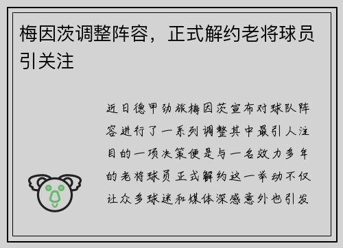 梅因茨调整阵容，正式解约老将球员引关注